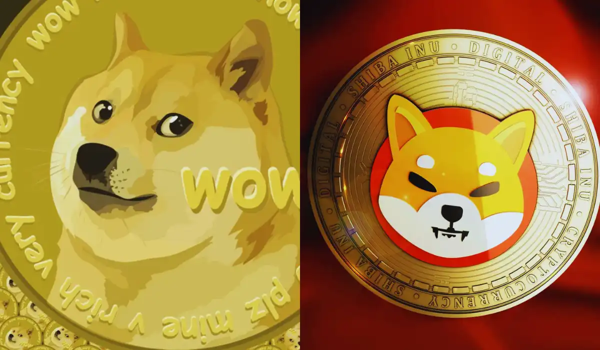 Dogecoin vs. Shiba Inu