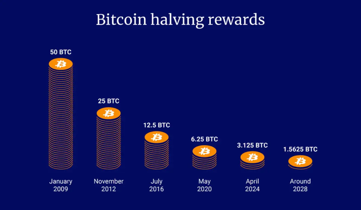 bitcoin halving rewards drop to 1.5625 btc price