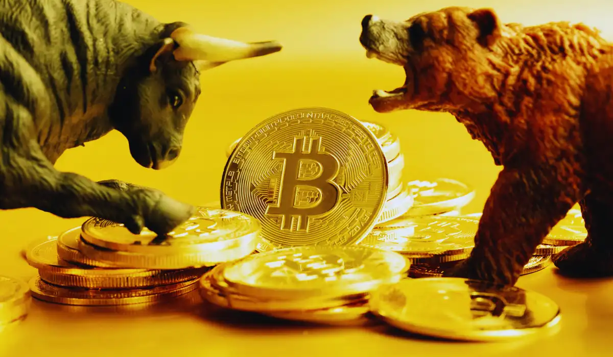 Bull vs. Bear Crypto Markets