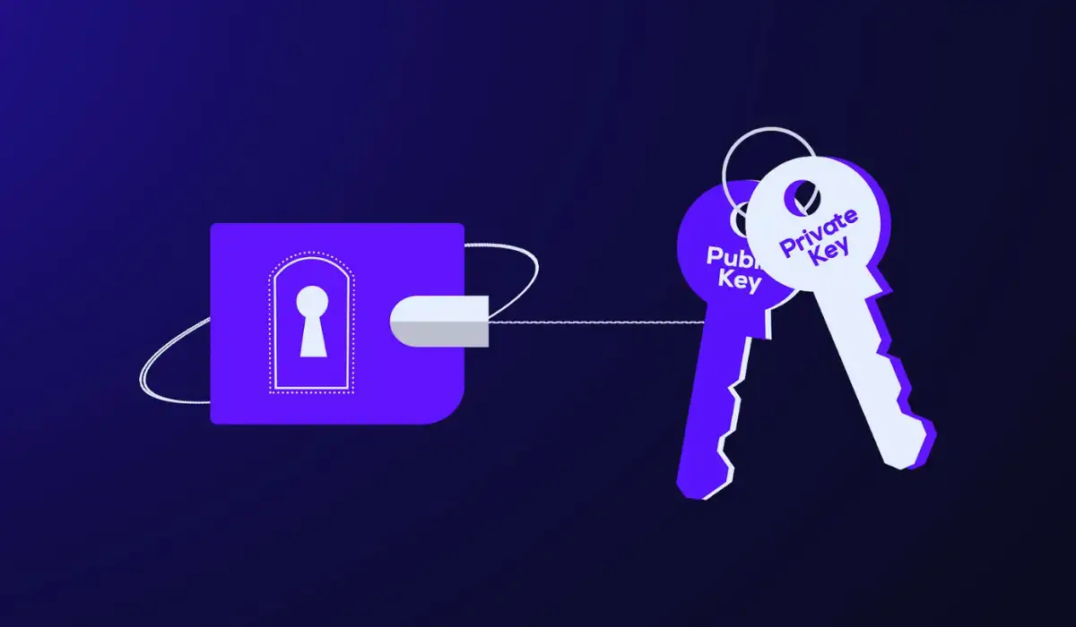 Crypto Wallet Private Keys