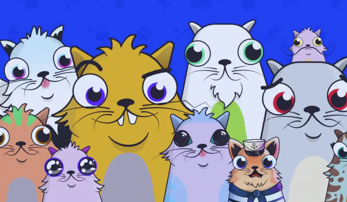 CryptoKitties Explained