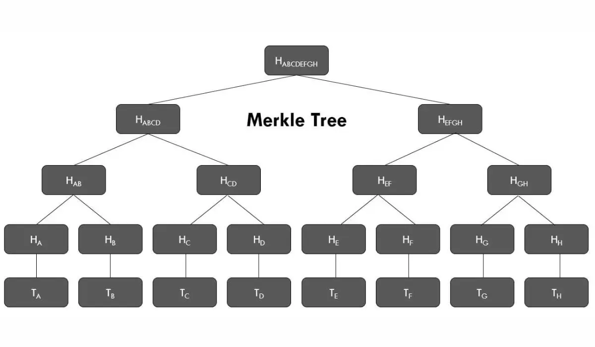 Merkle Tree